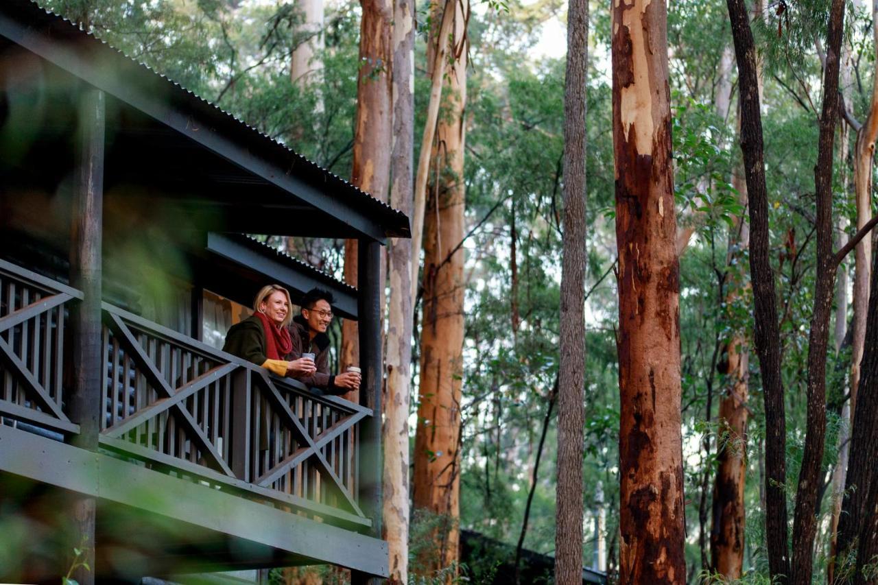 Rac Karri Valley Resort Pemberton Exteriér fotografie